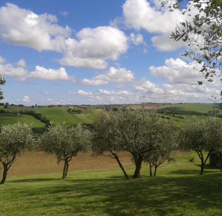 Casa Vacanze Via Marconi Marotta Kültér fotó